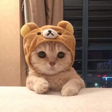 6186