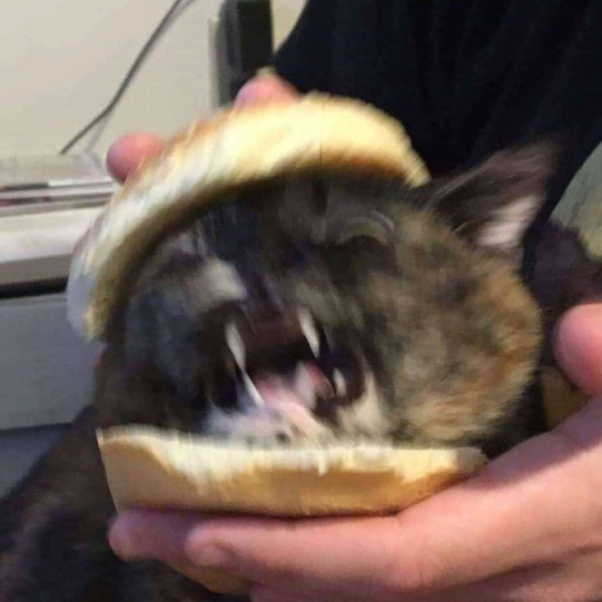 ZD4okU3DLU0