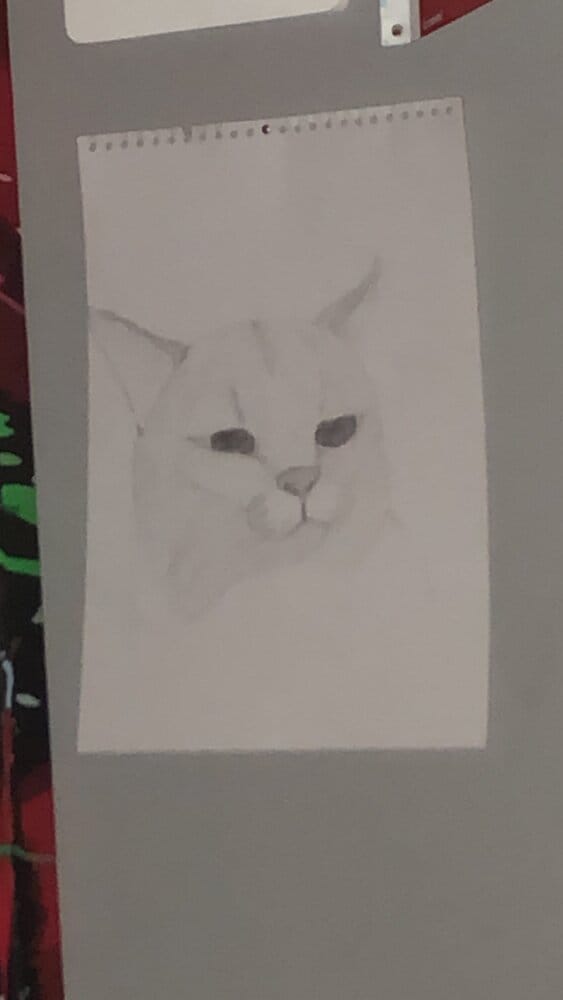 09C65E84 EB9E 4E91 B7E8 A2595FD07ED0