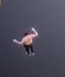 1616375471952