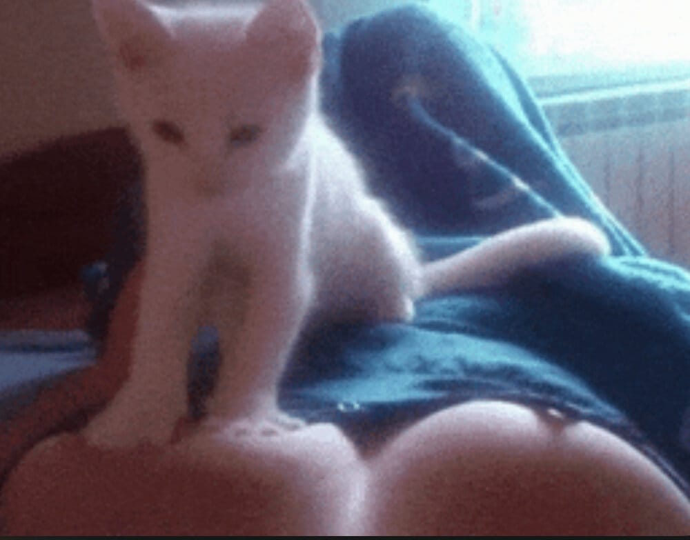 431C86BA C7A7 4DFF 9D7D 1C5F489A1CBE