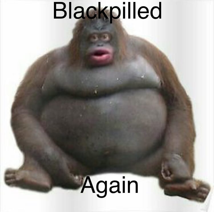 E73E27C6 EE35 46D3 A029 5D5C3A289B4A