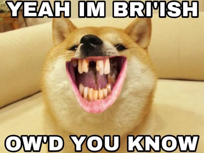 Brish