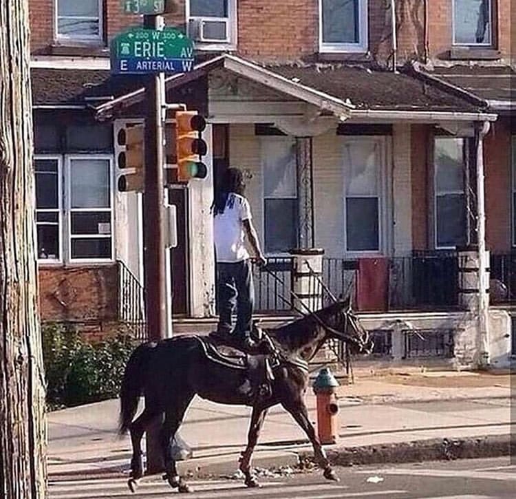 F3C8416C C2CE 4DE4 9088 24345872EDEB