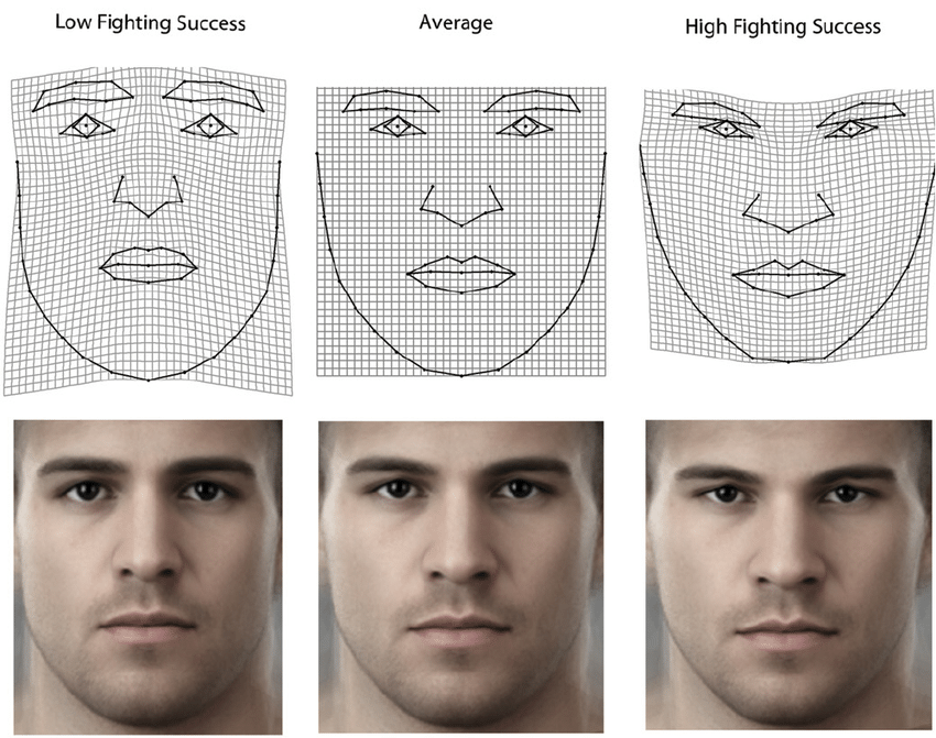 Visualization of the shape regression on fighting success by thin plate 3