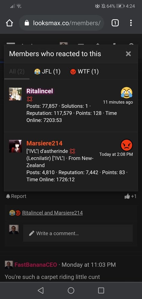 Screenshot 20210324 162439 comandroidchrome