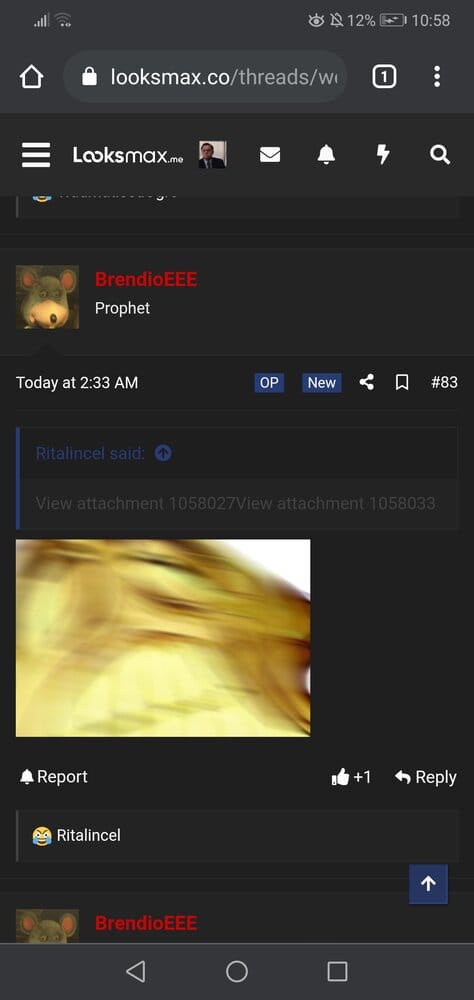 Screenshot 20210324 105843 comandroidchrome