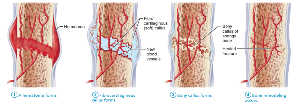 4e9d8c60f2ffda22abddde51fdc2d0eb