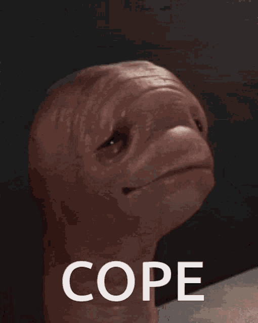Coping2