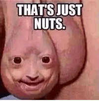 28EBF342 86D9 4737 92AF 8F2618EA93C8