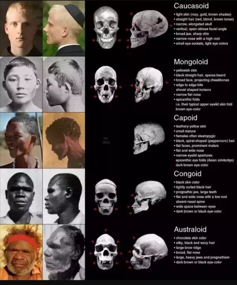 Screenshot 20210326 093211