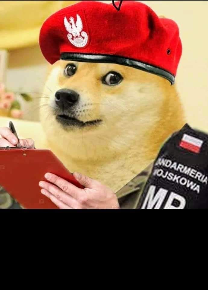 84449180 2586102241668894 3004485341886283776 n
