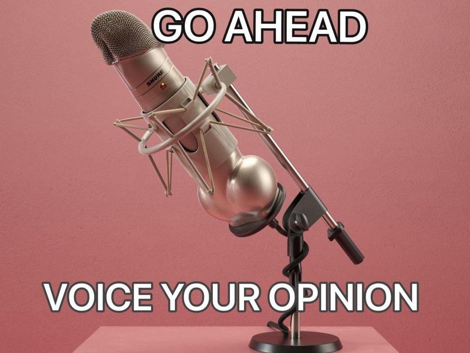 Voice ur opinion fag