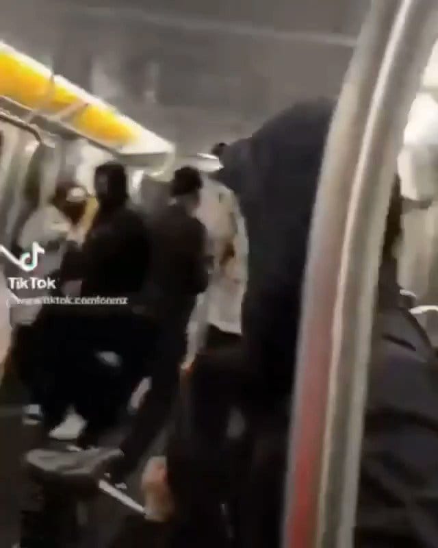 Image from https://pbs.twimg.com/ext_tw_video_thumb/1376406805769674757/pu/img/pRelAeDaFRrhS2pY.jpg