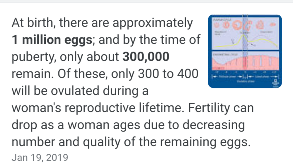 Screenshot 20210329 123148