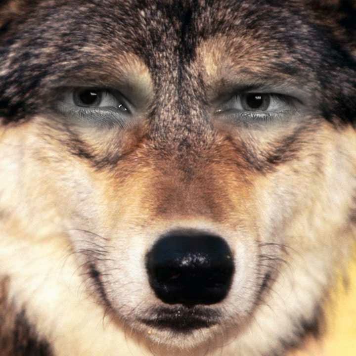 Instaface 202132920497790