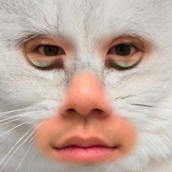 Instaface 2021329213533707