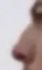 Capturar