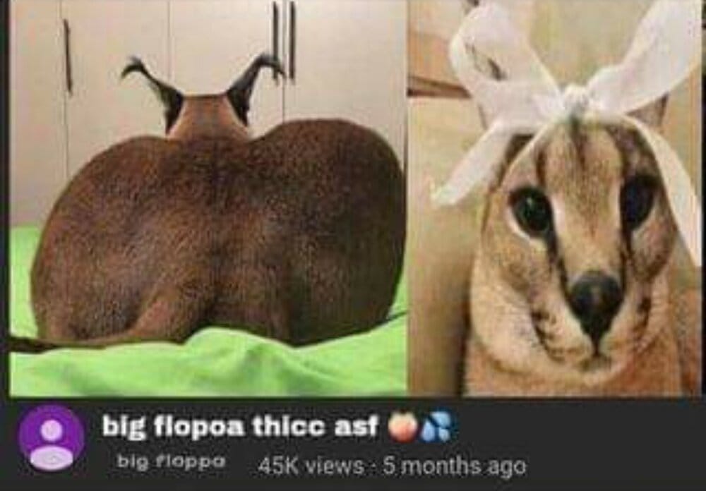 Screenshot 20210301 215059