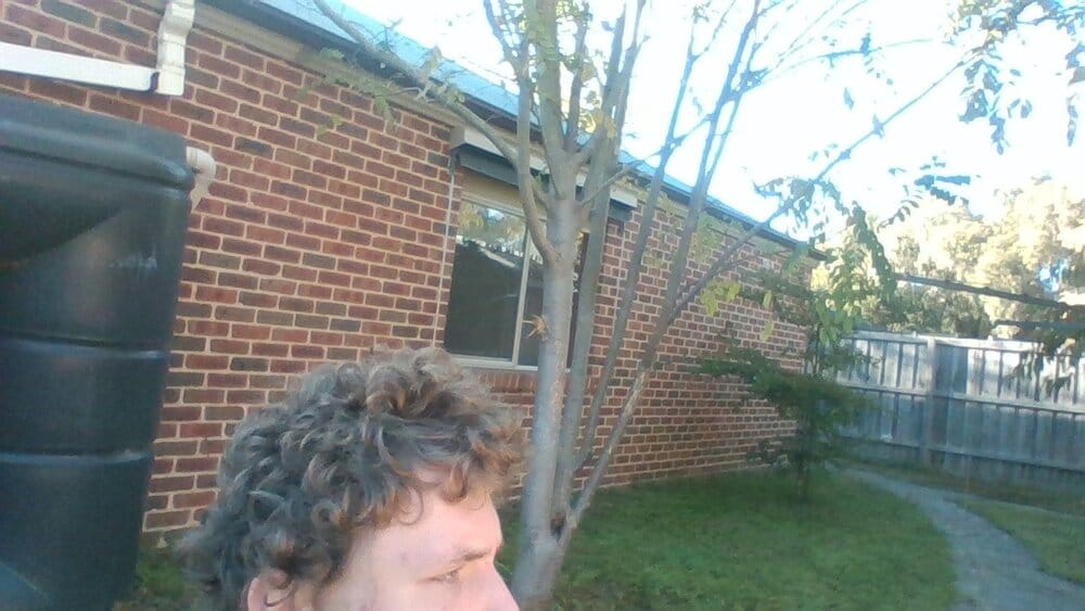 WIN 20210401 09 00 39 Pro