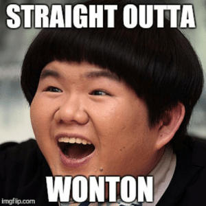 Thumb straight outta wonton imgflip com image tagged in memes meme funny memes original meme 5