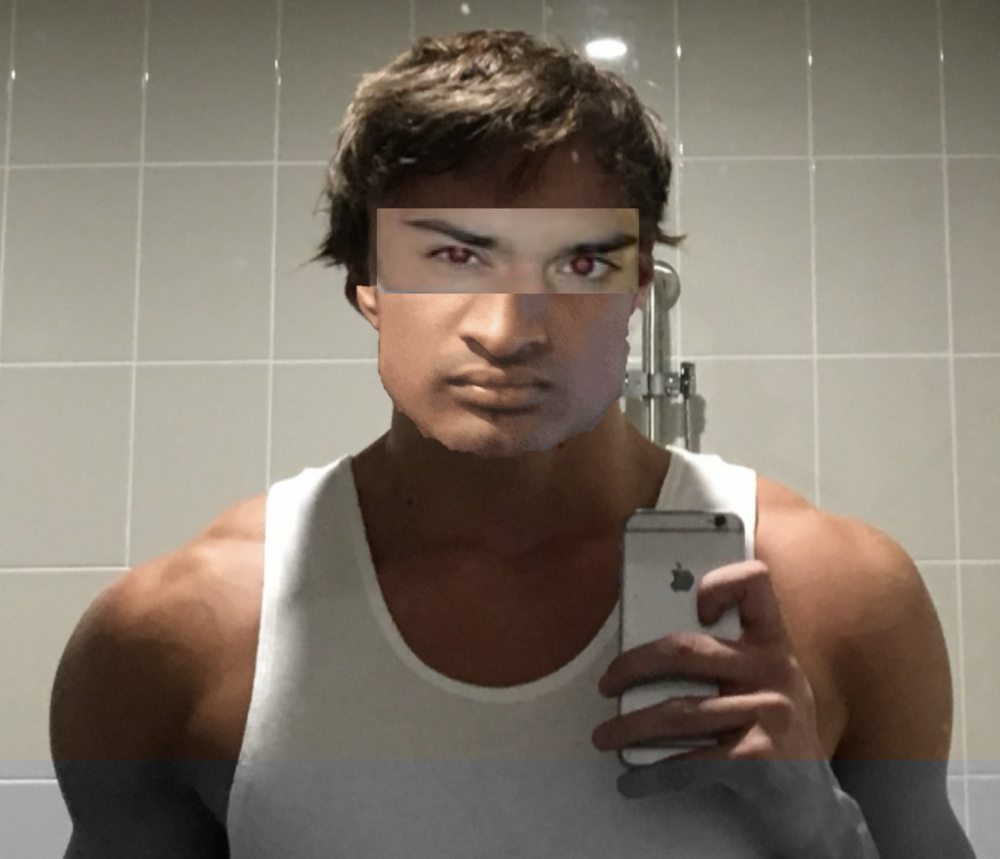 TERRA CHAD