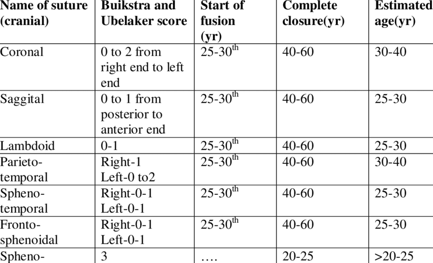 Age estimation based on closure pattern of cranial and facial sutures