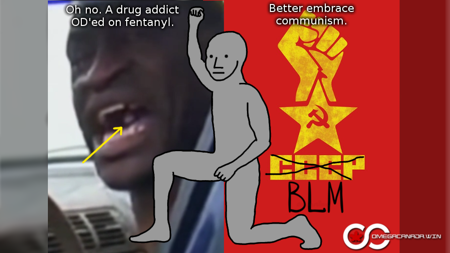 9B14C2A3 4853 4D00 9DBF 07590DB5CCCF