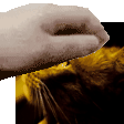 Qwewqe