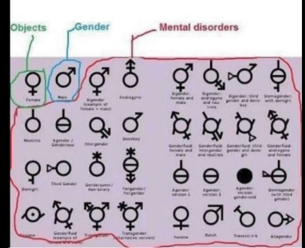 Gender2
