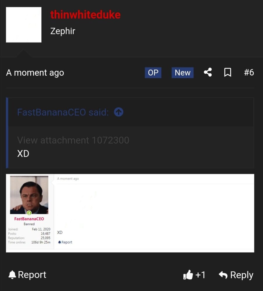 Screenshot 20210403 210338