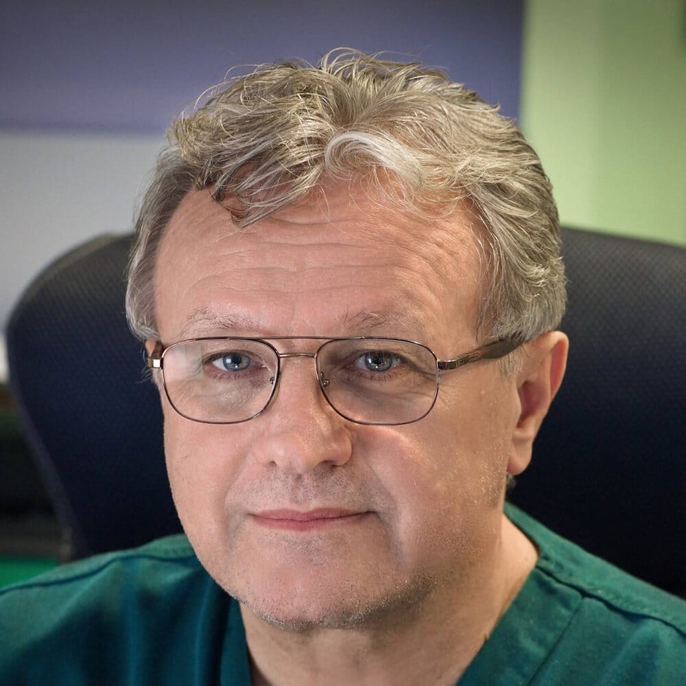 Profesor zoran stajcic