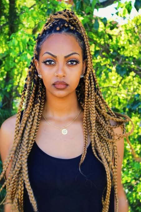 Images   2021 04 04T081429716