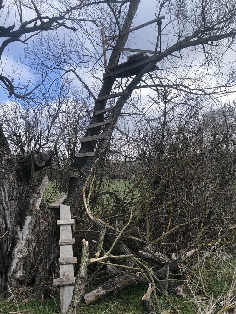 47FAA173 F8D6 4B4B 8242 268E02149B98