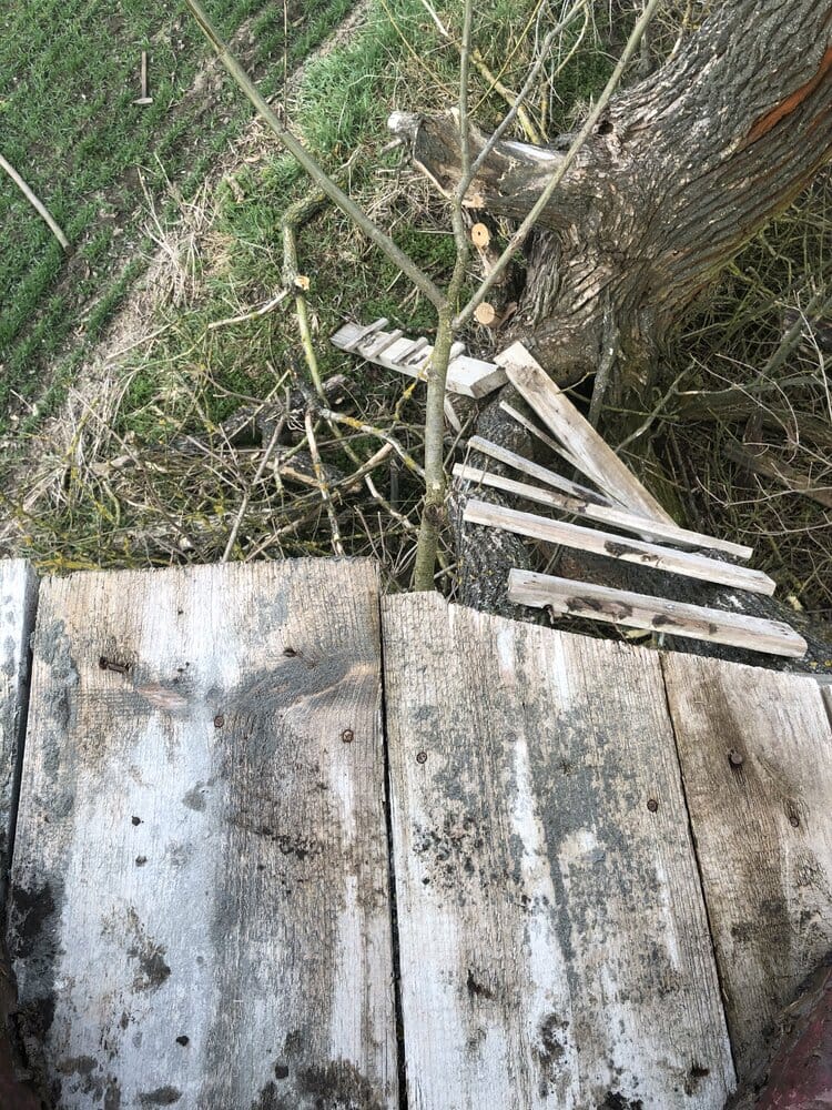 75033F10 4574 44D1 92AD A53353336E25