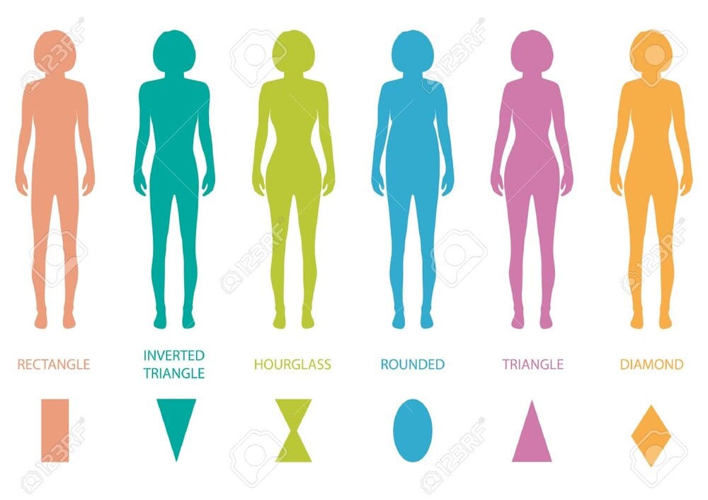 37568665 female body types anatomy woman front figure shape vector silhouette