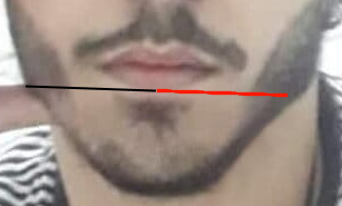 1617580859066