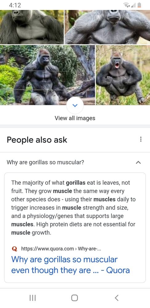Screenshot 20210405 161255 Chrome