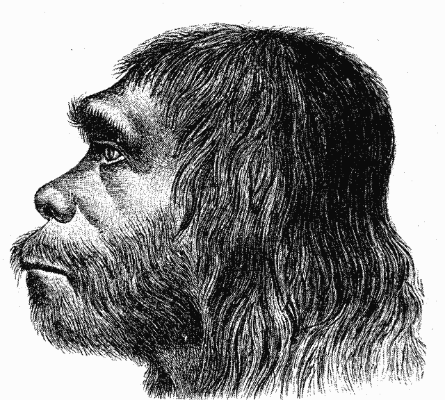 1 neanderthal
