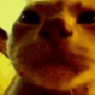 11748