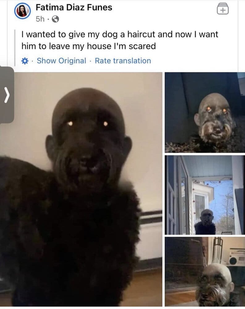 02C120B3 B66D 4F15 A34D B8D96198F16E