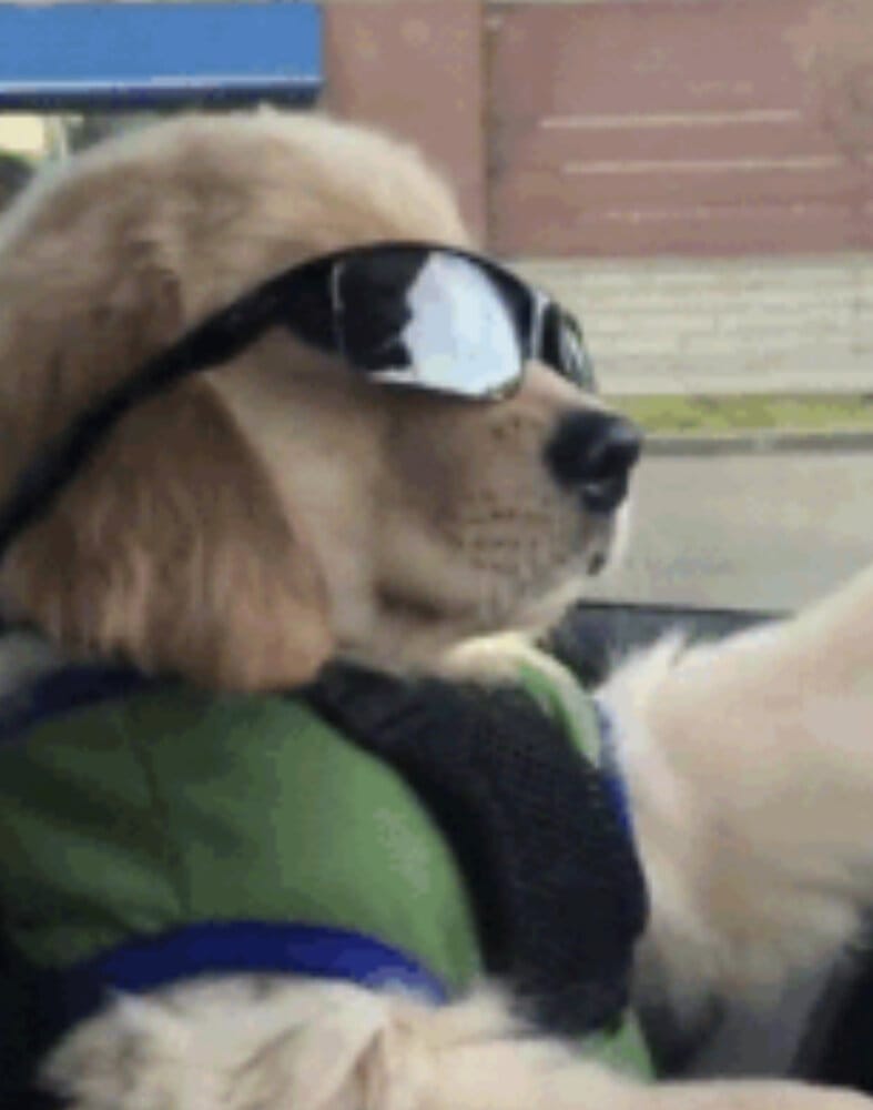 B84AB666 A67F 45FC 9036 7E8C6BADB45F