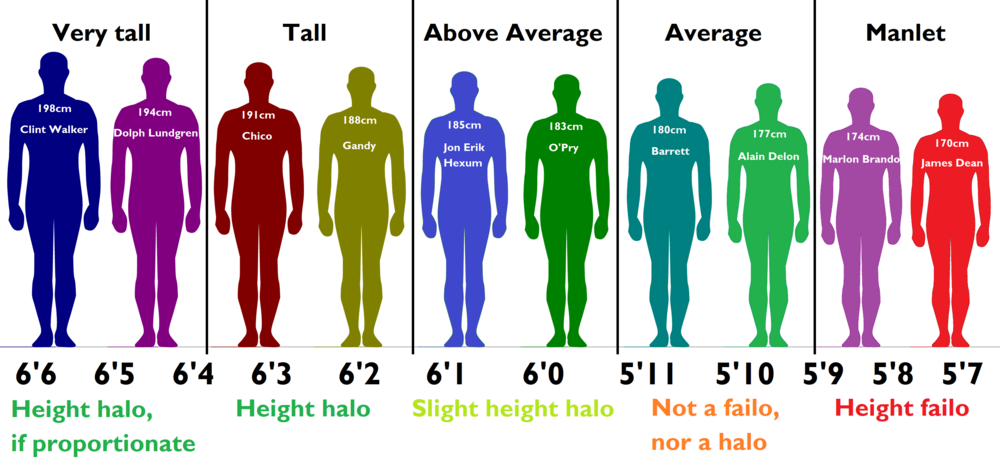 Heightchart1