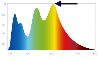 Oled light 1