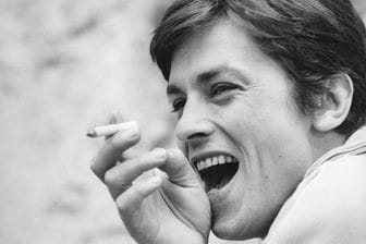 336x224 delon