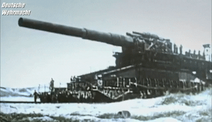 ShorttermScalyAidi size restricted