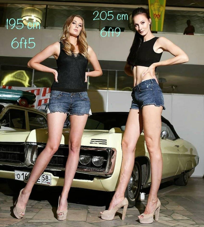 864c8f0b0c384f8e55d8b3a85ed695f3