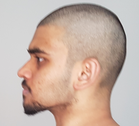 1617911208015