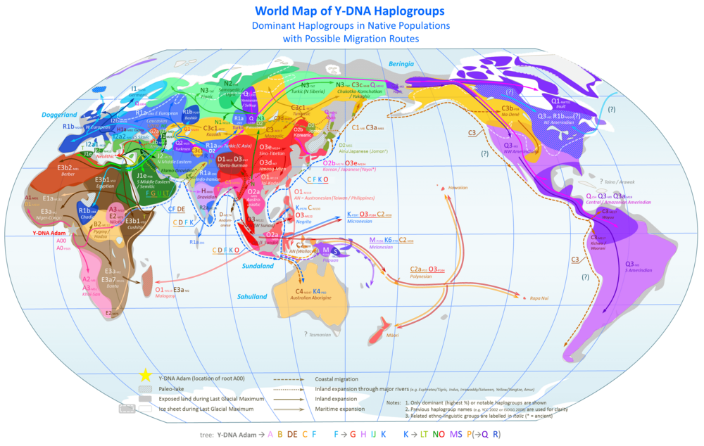 World Map of Y DNA Haplogroups