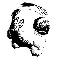 8E006998 CD7E 4366 92D0 781BC2041362